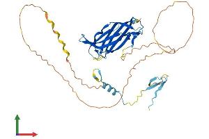 Protein Structure (PS) image for Family with Sequence Similarity 102, Member A (FAM102A) (AA 1-392) protein (His tag) (ABIN7558179)