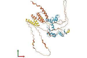 Protein Structure (PS) image for B-Cell CLL/lymphoma 6, Member B (BCL6B) (AA 1-479) protein (His tag) (ABIN7552663)