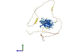 AlphaFold protein structure predicition of Mouse Recombinant Relb Protein, UniprotID Q04863