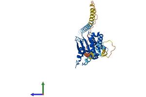 AlphaFold protein structure predicition of Mouse Recombinant Nus1 Protein, UniprotID Q99LJ8