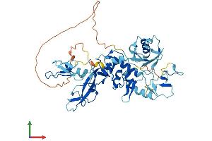 AlphaFold protein structure predicition of Human Recombinant PRKN Protein, UniprotID O60260 (Parkin Protein (AA 1-465) (His tag))