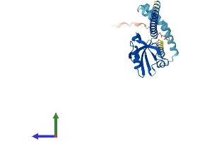 AlphaFold protein structure predicition of Human Recombinant LIN7A Protein, UniprotID O14910