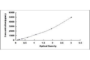 Typical standard curve (CIRBP ELISA Kit)