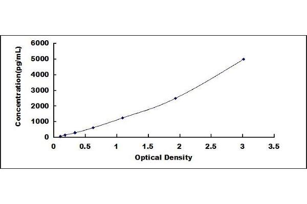 CIRBP ELISA Kit