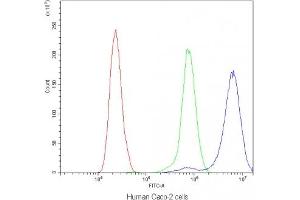 Flow cytometry testing of human Caco-2 cells with CD2AP antibody at 1ug/10^6 cells (blocked with goat sera) (CD2AP antibody)