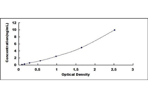 Lamin A/C ELISA Kit