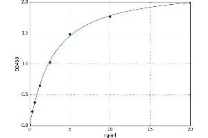 A typical standard curve (AMPK alpha ELISA Kit)