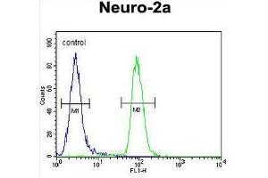 CIRH1A Antibody (N-term) flow cytometric analysis of Neuro-2a cells (right histogram) compared to a negative control cell (left histogram). (CIRH1A antibody  (N-Term))