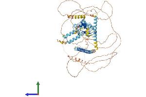 AlphaFold protein structure predicition of Human Recombinant LRRC36 Protein, UniprotID Q1X8D7 (LRRC36 Protein (AA 1-754) (His tag))