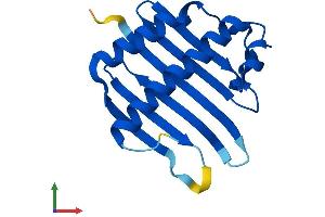 AlphaFold protein structure predicition of Mouse Recombinant Magohb Protein, UniprotID Q9CQL1