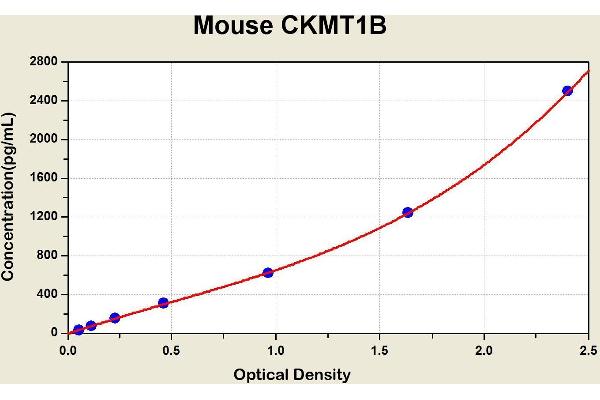 CKMT1B ELISA Kit