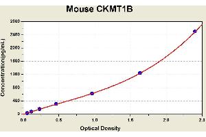 Diagramm of the ELISA kit to detect Mouse CKMT1Bwith the optical density on the x-axis and the concentration on the y-axis.