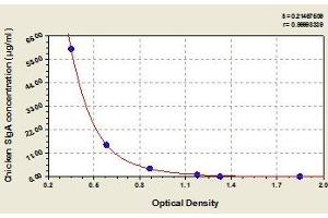 Typical standard curve