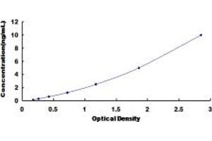 Typical standard curve (IRF1 ELISA Kit)