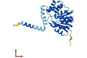 AlphaFold protein structure predicition of Human Recombinant COMT Protein, UniprotID P21964 (COMT Protein (AA 1-271) (His tag))