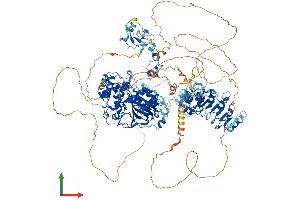 Protein Structure (PS) image for Lysine (K)-Specific Demethylase 2B (KDM2B) (AA 1-1336) protein (His tag) (ABIN7554306)