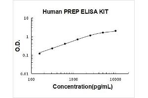 Prolyl Endopeptidase (PREP) ELISA Kit