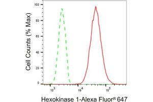 Flow cytometric analysis of Hexokinase 1 expression in HT- cells using Hexokinase 1 antibody (ABIN7798906), 1:2,000). (Recombinant Hexokinase 1 antibody)
