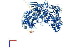 AlphaFold protein structure predicition of Human Recombinant POLR2B Protein, UniprotID P30876 (POLR2B Protein (AA 1-1174) (His tag))