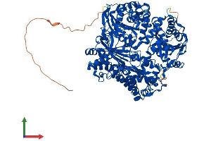 Protein Structure (PS) image for Insulin-Degrading Enzyme (IDE) (AA 1-1019) protein (His tag) (ABIN7565078)