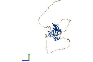 AlphaFold protein structure predicition of Mouse Recombinant Kmt5a Protein, UniprotID Q2YDW7 (SETD8 Protein (AA 1-349) (His tag))