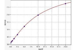 CASP14 ELISA Kit