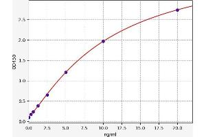 Typical standard curve (CASP14 ELISA Kit)