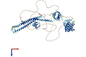 AlphaFold protein structure predicition of Mouse Recombinant Arhgap42 Protein, UniprotID B2RQE8 (ARHGAP42 Protein (AA 1-841) (His tag))