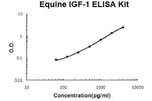 Horse equine IGF-1 PicoKine ELISA Kit standard curve