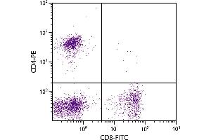 Feline peripheral blood lymphocytes were stained with Mouse Anti-Feline CD4-PE. (CD4 antibody)