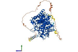 Protein Structure (PS) image for ER Degradation Enhancer, Mannosidase alpha-Like 1 (EDEM1) (AA 1-652) protein (His tag) (ABIN7564872)