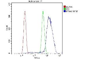 Flow Cytometry analysis of U20S cells using anti-Eph receptor A2 antibody (ABIN5693218).