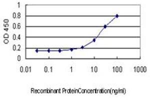 Detection limit for recombinant GST tagged ELK1 is approximately 1ng/ml as a capture antibody. (ELK1 antibody  (AA 67-166))