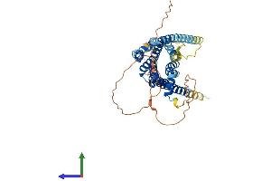 AlphaFold protein structure predicition of Human Recombinant DRD1 Protein, UniprotID P21728 (Dopamine Receptor d1 Protein (AA 1-446) (His tag))