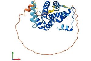 AlphaFold protein structure predicition of Mouse Recombinant Capns2 Protein, UniprotID Q9D7J7