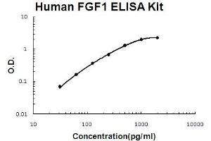 Human FGF1 PicoKine ELISA Kit standard curve (FGF1 ELISA Kit)