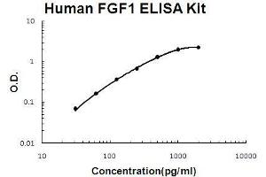 Human FGF1 PicoKine ELISA Kit standard curve