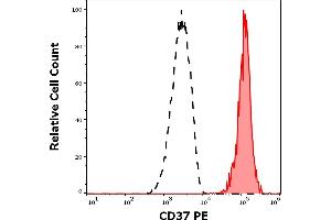 Separation of human CD37 positive CD19 positive lymphocytes (red-filled) CD37 negative CD19 negative lymphocytes (black-dashed) in flow cytometry analysis (surface staining) of human peripheral whole blood stained using anti-human CD37 (MB-1) PE antibody (10 μL reagent / 100 μL of peripheral whole blood). (CD37 antibody  (PE))