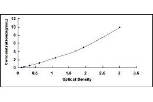 Typical standard curve (Connexin 43/GJA1 ELISA Kit)