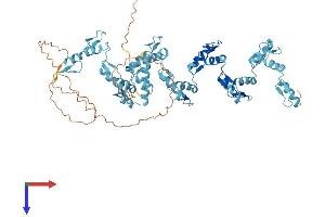 AlphaFold protein structure predicition of Human Recombinant ZNF471 Protein, UniprotID Q9BX82