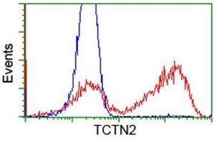 HEK293T cells transfected with either RC203860 overexpress plasmid (Red) or empty vector control plasmid (Blue) were immunostained by anti-TCTN2 antibody (ABIN2453721), and then analyzed by flow cytometry. (TCTN2 antibody)