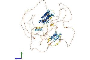 AlphaFold protein structure predicition of Human Recombinant LARP1B Protein, UniprotID Q659C4