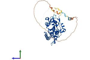AlphaFold protein structure predicition of Human Recombinant HS3ST3B1 Protein, UniprotID Q9Y662 (HS3ST3B1 Protein (AA 1-390) (His tag))