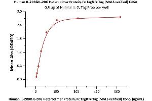 Immobilized Human IL-2, Tag Free (ABIN6386425,ABIN6388245) at 5 μg/mL (100 μL/well) can bind Human IL-2RB&IL-2RG Heterodimer Protein, Fc Tag&Fc Tag (MALS verified) (ABIN6973117) with a linear range of 5-78 ng/mL (QC tested). (IL-2 R beta & IL-2 R gamma (AA 27-239) (Active) protein (Fc Tag))