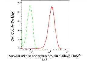 Flow cytometric analysis of Nuclear mitotic apparatus protein 1 expression in HepG2 cells using Nuclear mitotic apparatus protein 1 antibody (ABIN7799648), 1:2,000). (Recombinant NUMA1 antibody)
