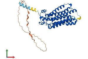 Protein Structure (PS) image for Adiponectin Receptor 2 (ADIPOR2) (AA 1-386) protein (His tag) (ABIN7552034)