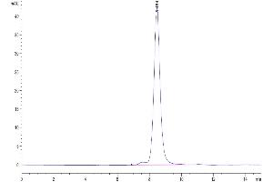 The purity of Mouse SEMA4B is greater than 95 % as determined by SEC-HPLC. (SEMA4B Protein (AA 31-703) (His tag))