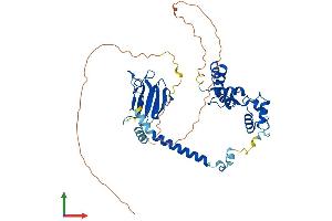 AlphaFold protein structure predicition of Mouse Recombinant Mcrs1 Protein, UniprotID Q99L90
