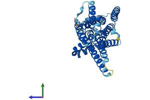 AlphaFold protein structure predicition of Mouse Recombinant G6pc2 Protein, UniprotID Q9Z186 (G6PC2 Protein (AA 1-355) (His tag))