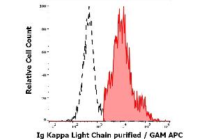 Separation of human Ig Kappa Light Chain positive lymphocytes (red-filled) from Ig Kappa Light Chain negative lymphocytes (black-dashed) in flow cytometry analysis (surface staining) of human peripheral whole blood stained using anti-human Ig Kappa Light Chain (A8B5) purified antibody (concentration in sample 4 μg/mL, GAM APC). (kappa Light Chain antibody)
